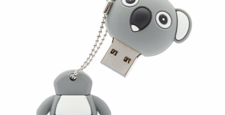 Clé USB koala